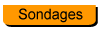 Sondages